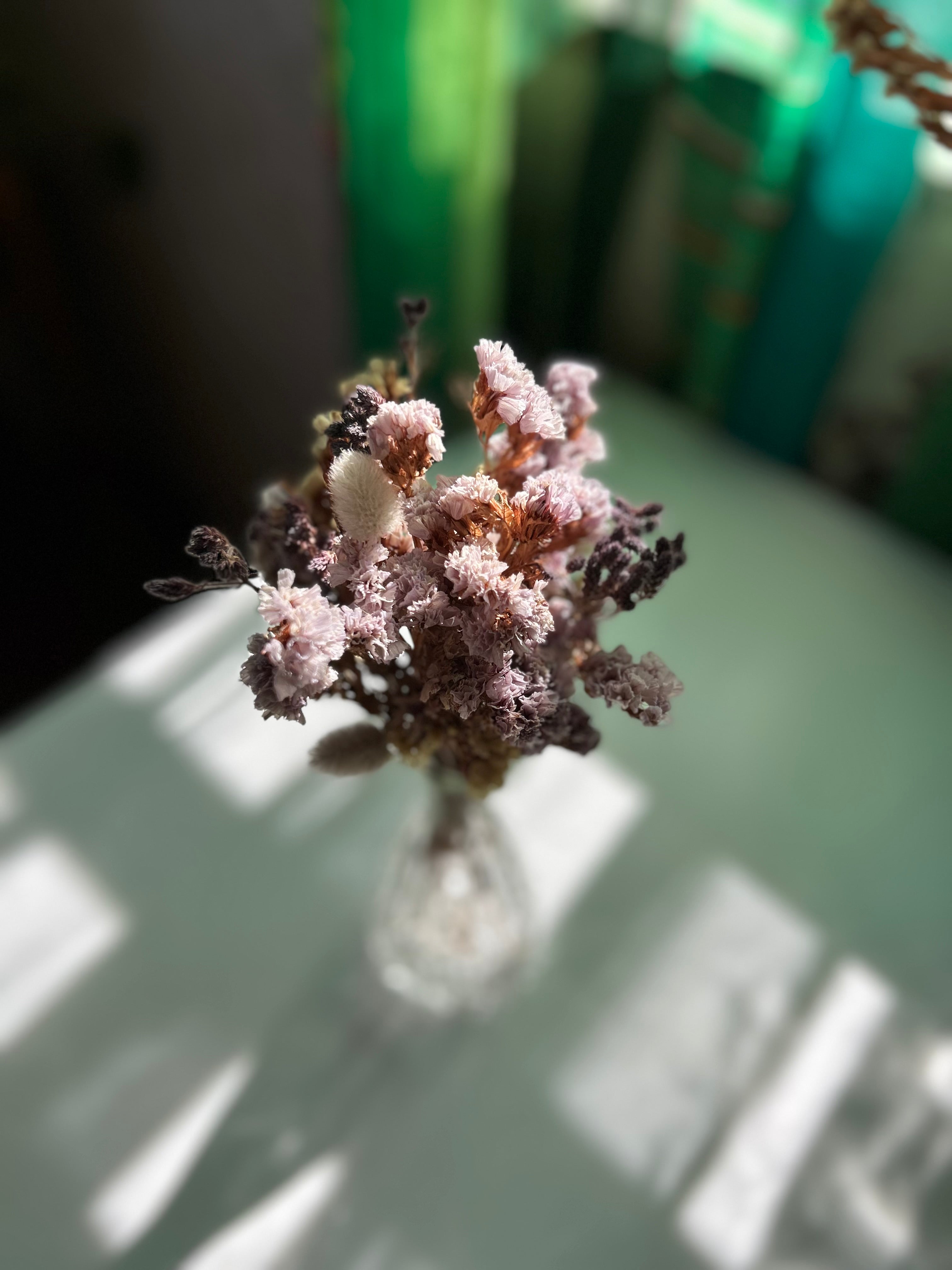 Dried Flower Range