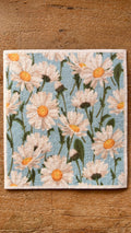 Dishcloth